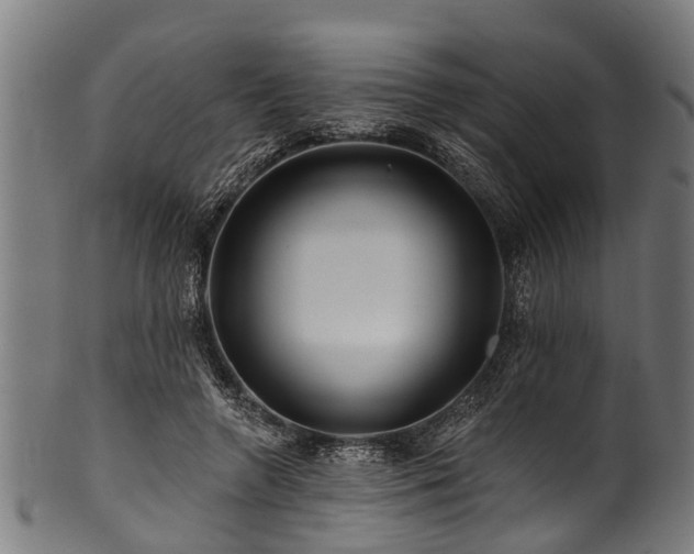 X0000100970546200806241553