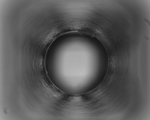 X0000100970548200806241553