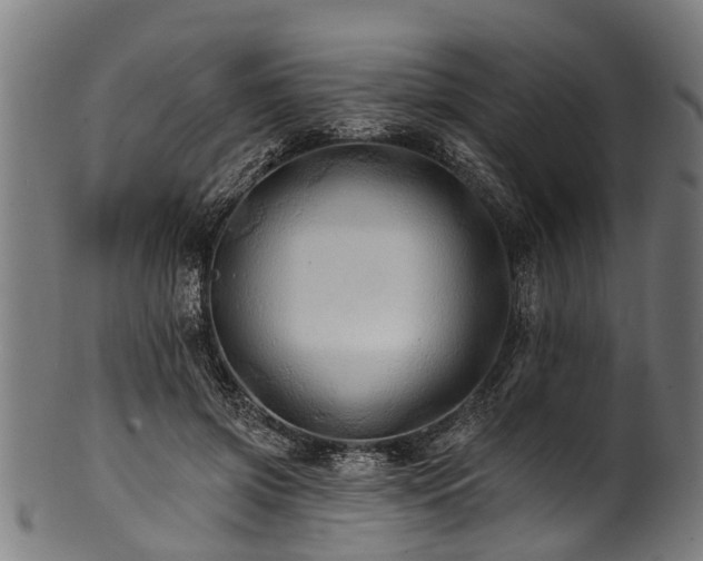X0000100970549200806241553
