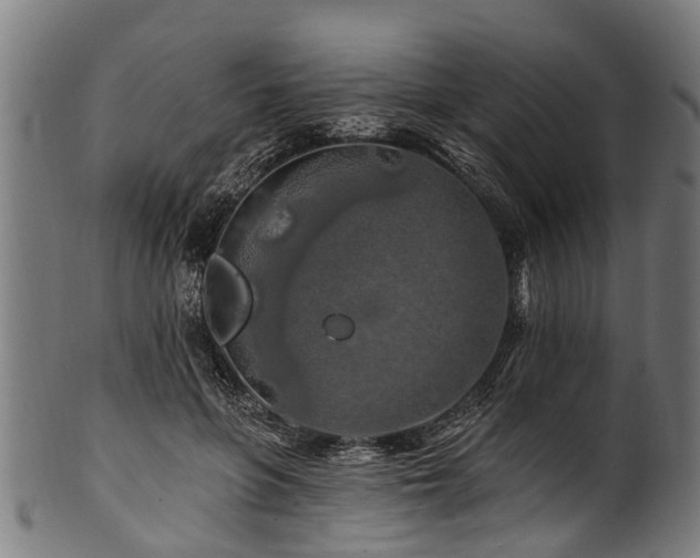 X0000100970551200806241554