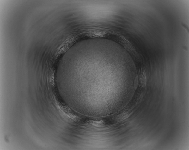 X0000100970552200806241554