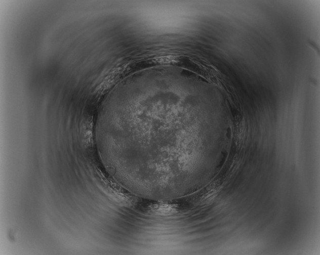 X0000100970553200806241554