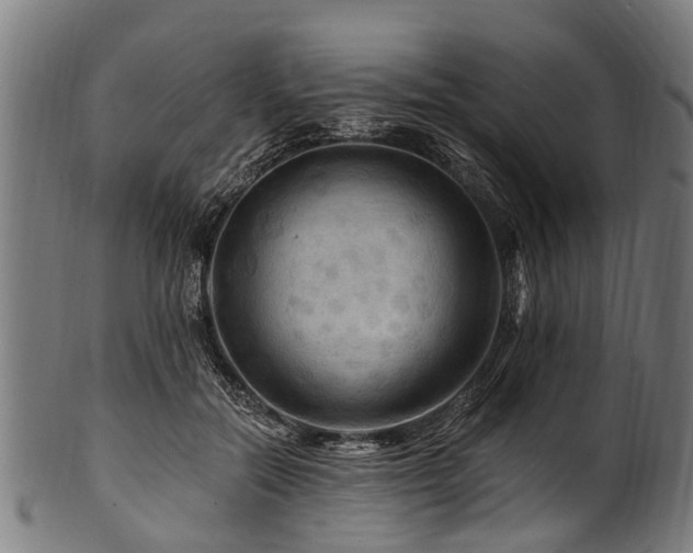 X0000100970554200806241554