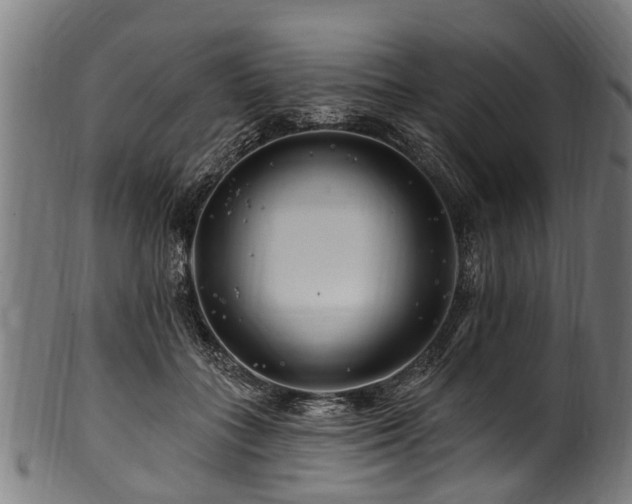 X0000100970555200806241554