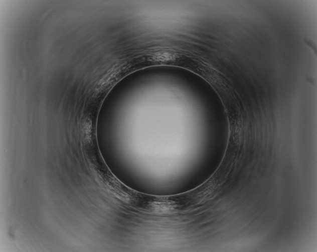 X0000100970556200806241554