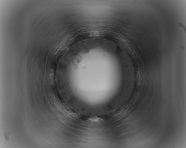 X0000100970557200806241554