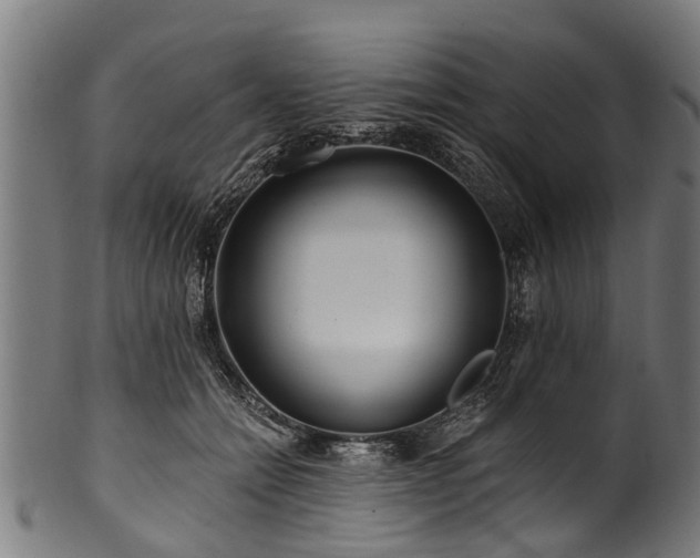 X0000100970558200806241554