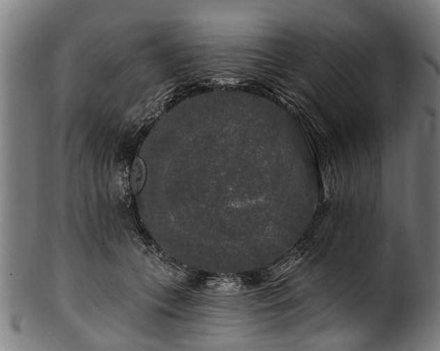 X0000100970559200806241554