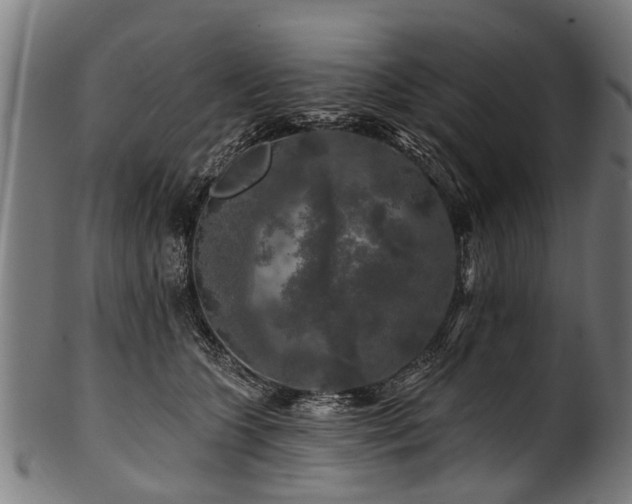 X0000100970563200806241554