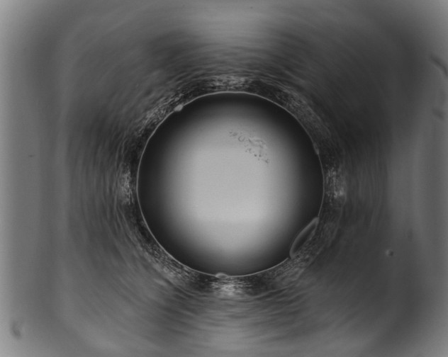 X0000100970564200806241554