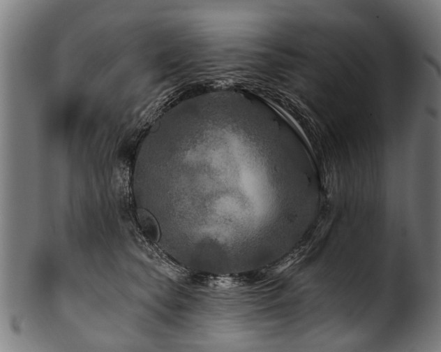 X0000100970565200806241554