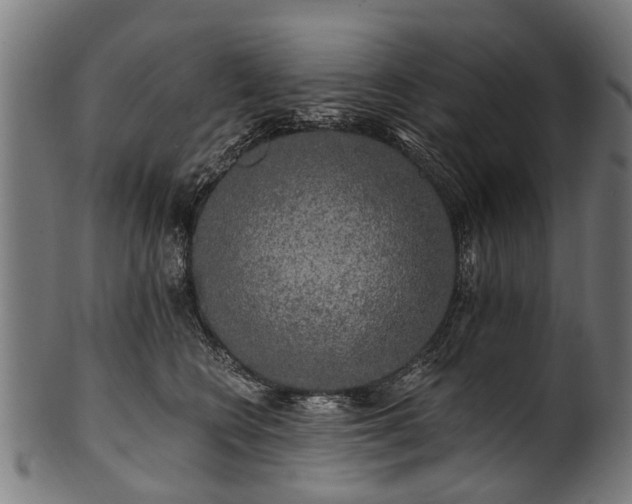 X0000100970566200806241554