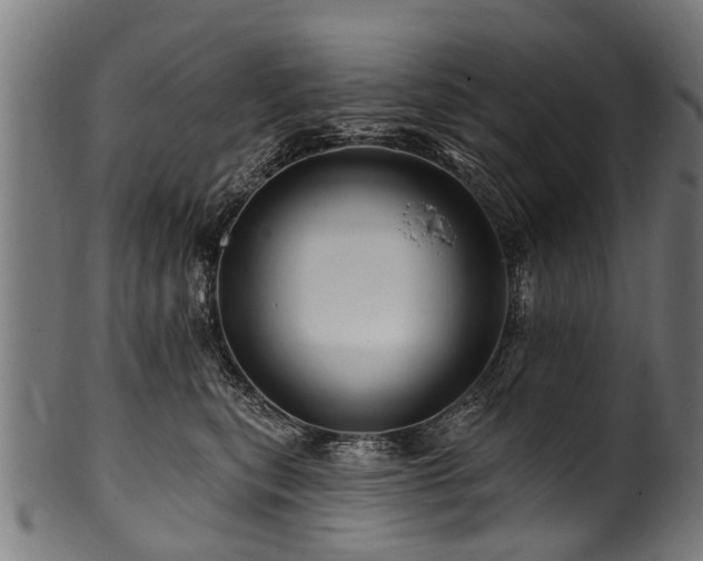 X0000100970567200806241554