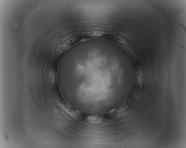 X0000100970568200806241554