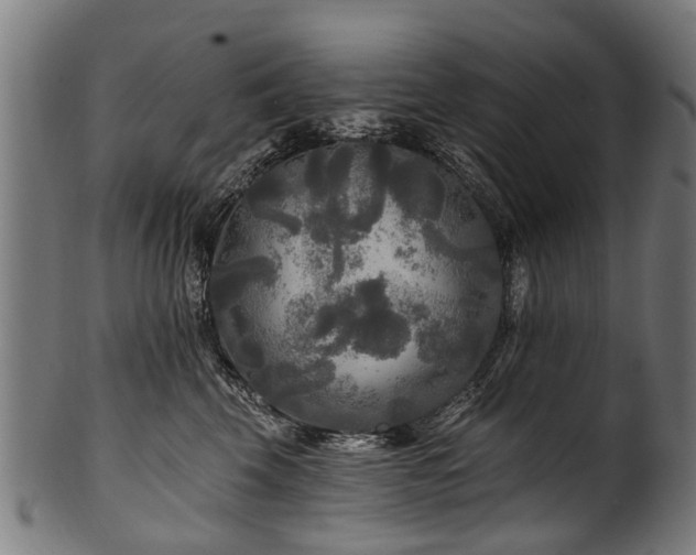 X0000100970569200806241554