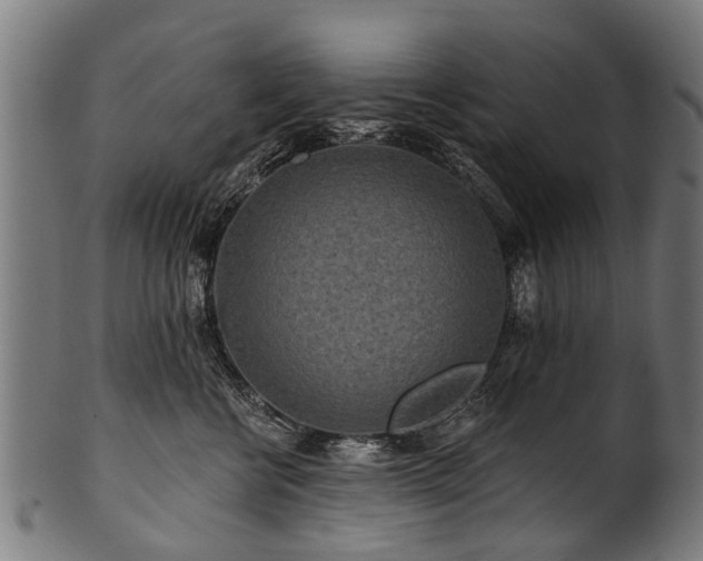 X0000100970570200806241554
