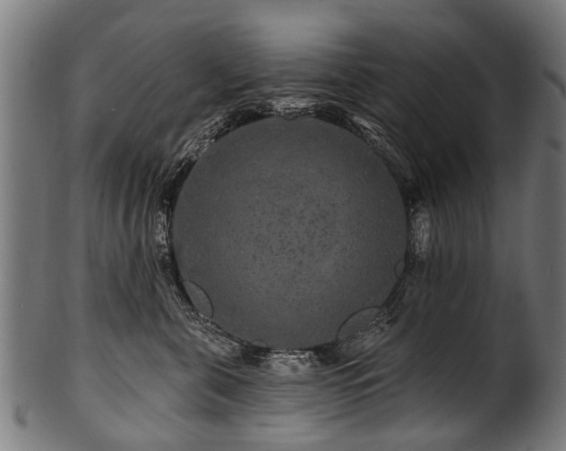 X0000100970571200806241554