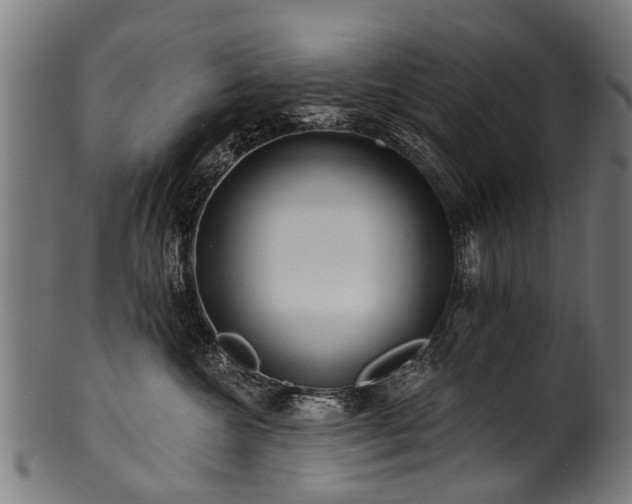 X0000100970572200806241554