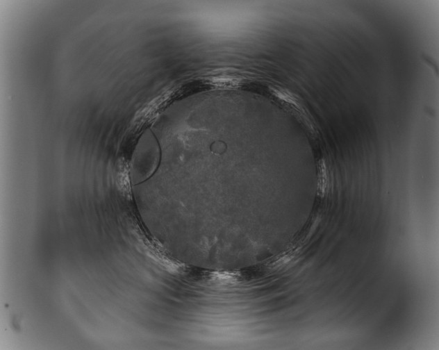 X0000100970573200806241554