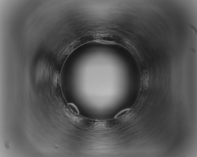X0000100970574200806241554