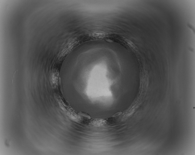 X0000100970576200806241554