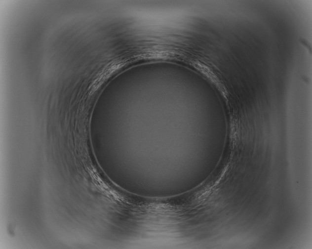 X0000100970577200806241553