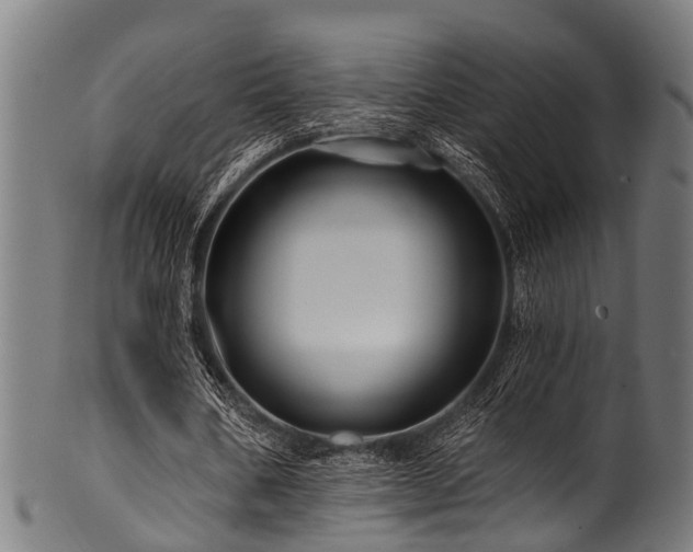 X0000100970578200806241553