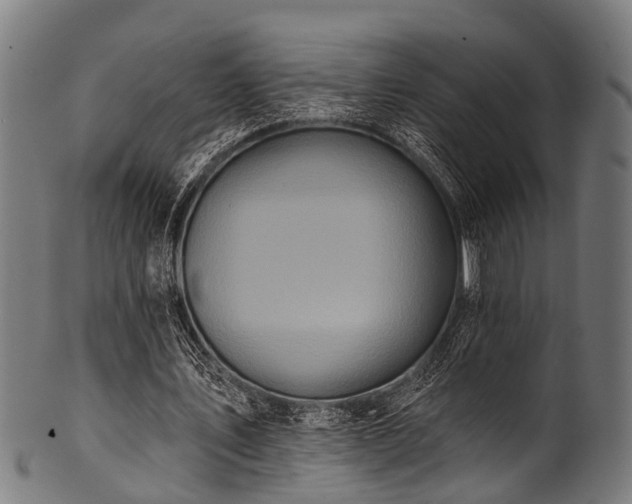 X0000100970579200806241553