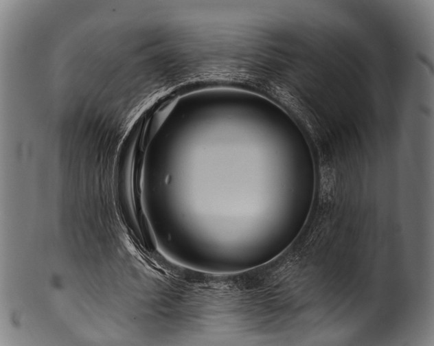 X0000100970580200806241553