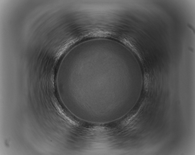 X0000100970581200806241553