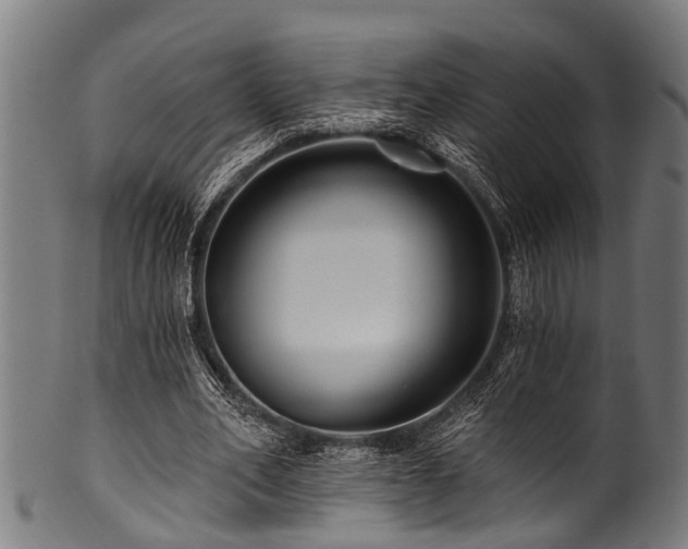 X0000100970582200806241553