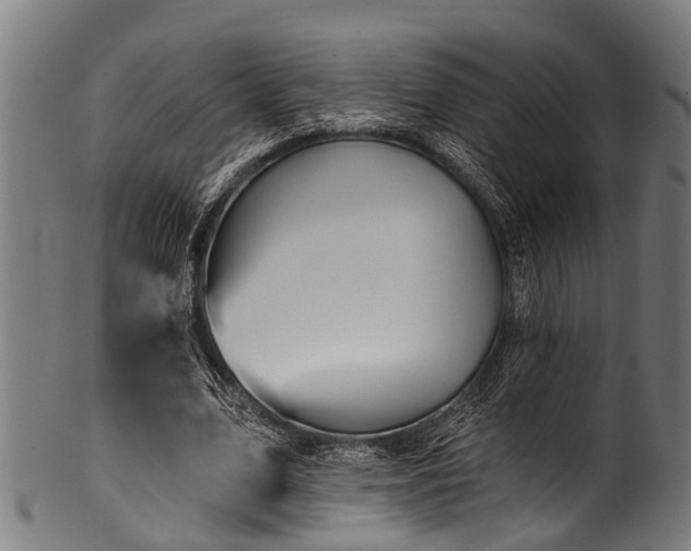 X0000100970583200806241553