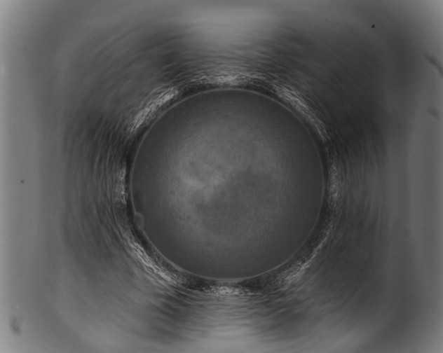X0000100970585200806241553
