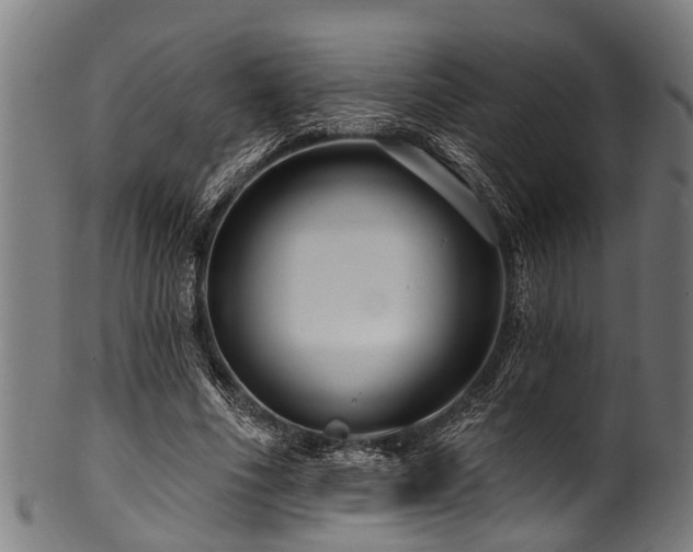 X0000100970586200806241553