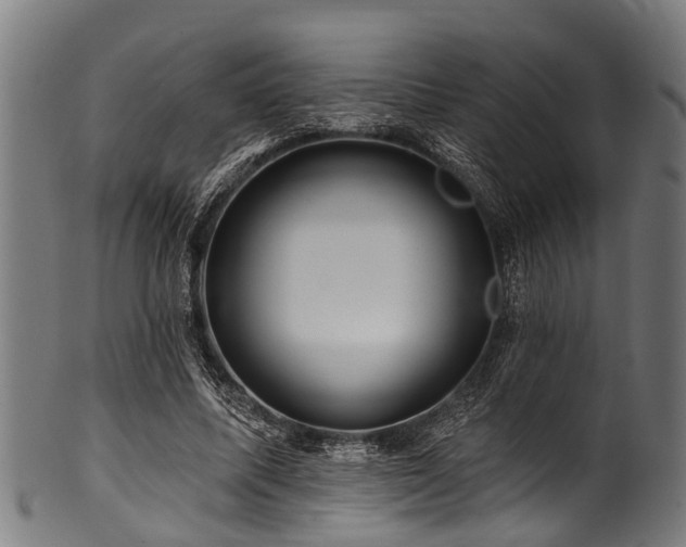 X0000100970587200806241553