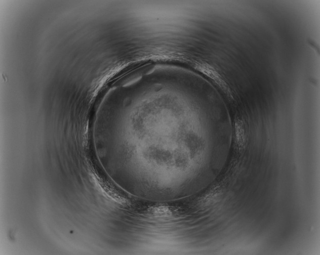 X0000100970588200806241553