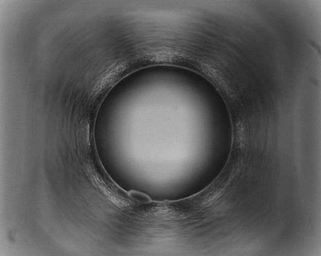 X0000100970589200806241553