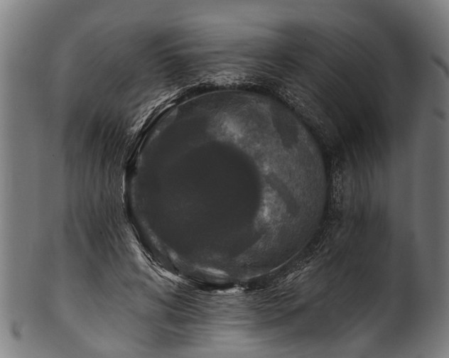 X0000100970592200806241553