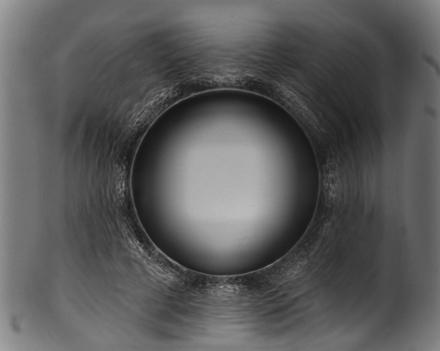 X0000100970593200806241553