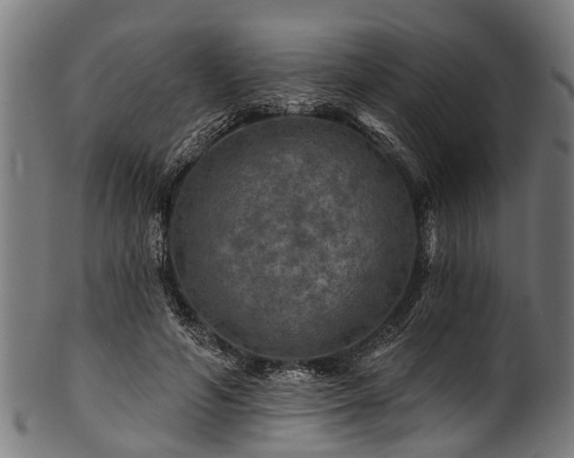 X0000100970594200806241553