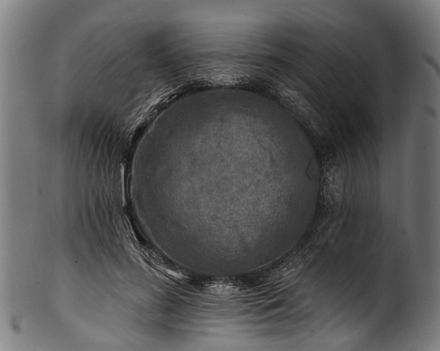 X0000100970596200806241553