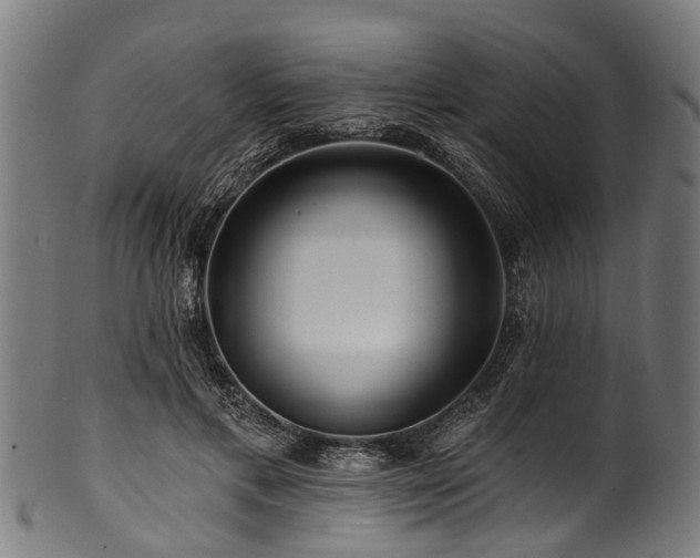X0000100970597200806241553