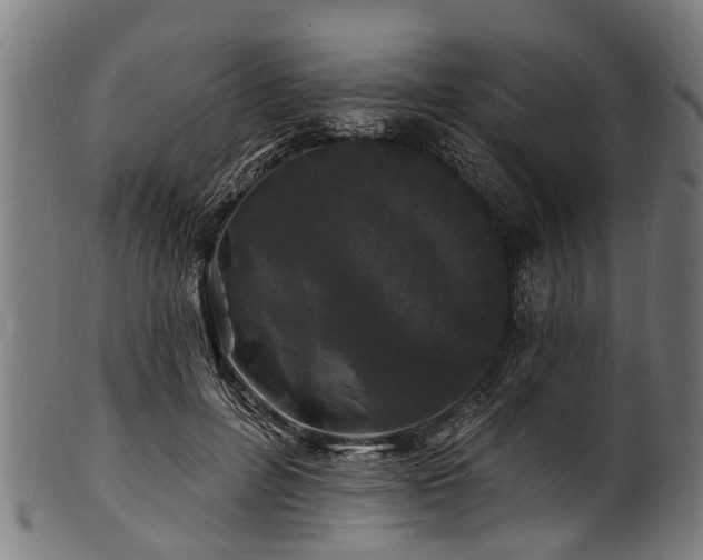 X0000100970600200806241553