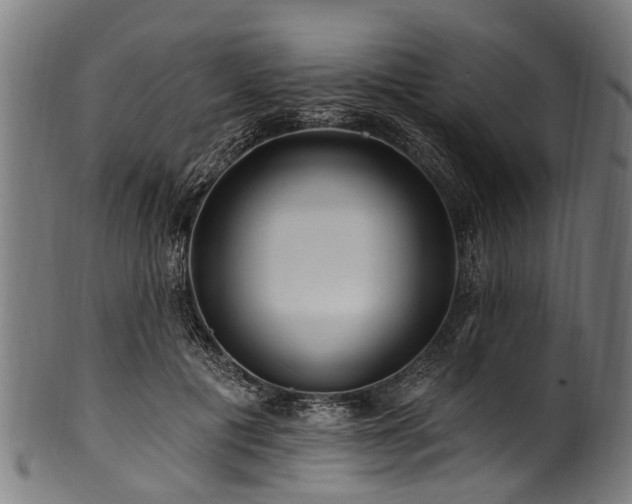 X0000100970601200806241553