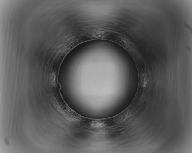X0000100970602200806241553