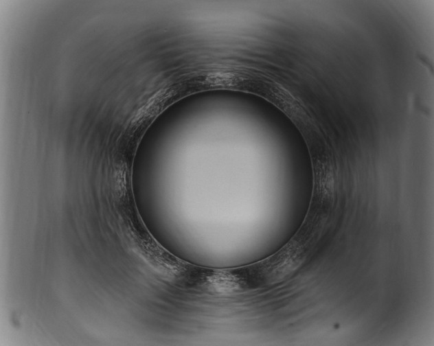 X0000100970603200806241553