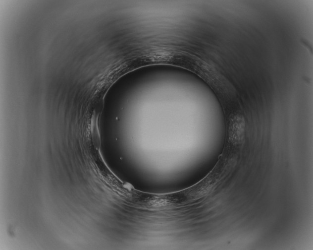 X0000100970604200806241553