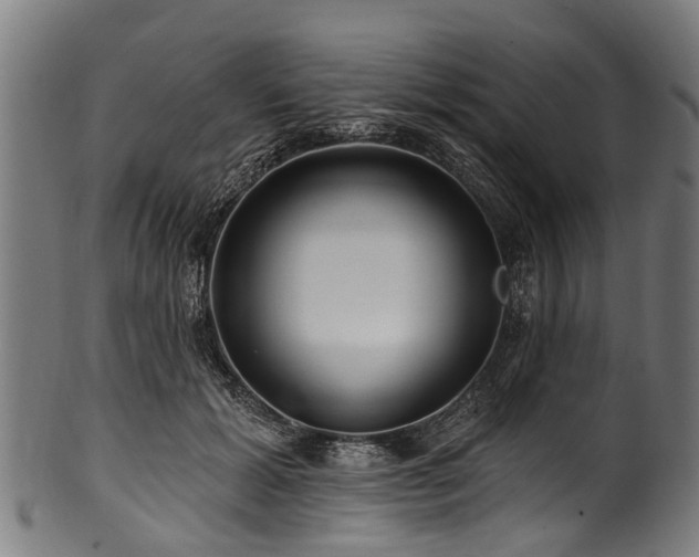 X0000100970605200806241553