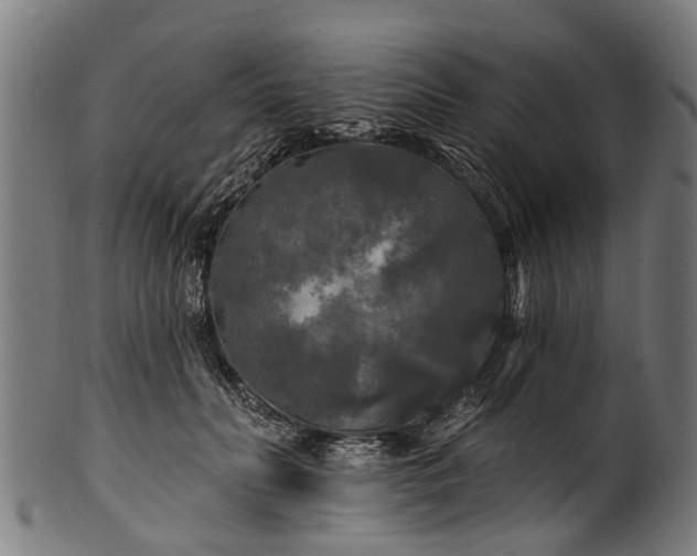 X0000100970606200806241553