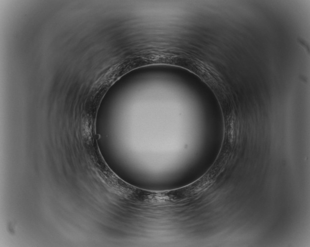 X0000100970607200806241553